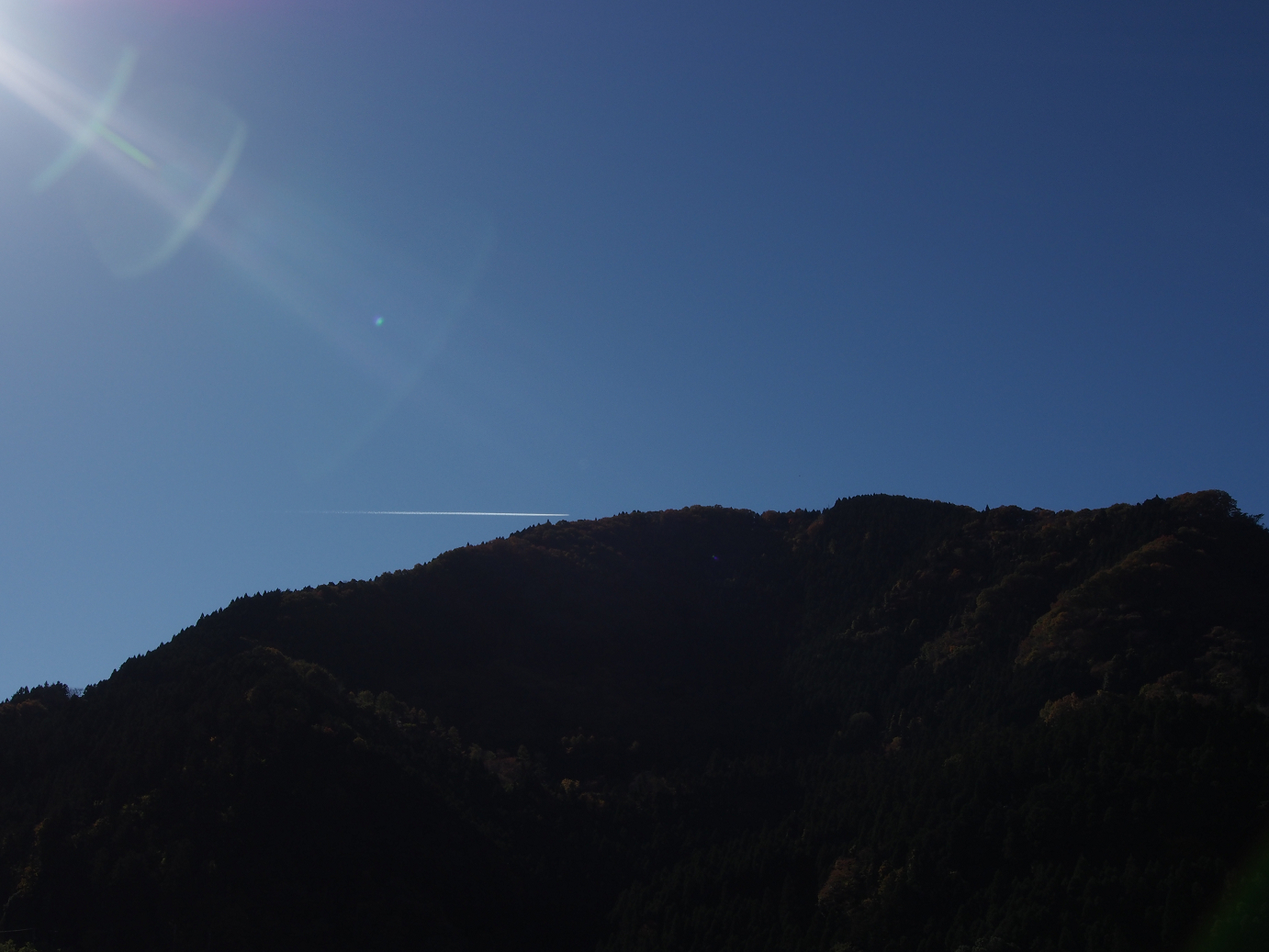 PB160314.jpg