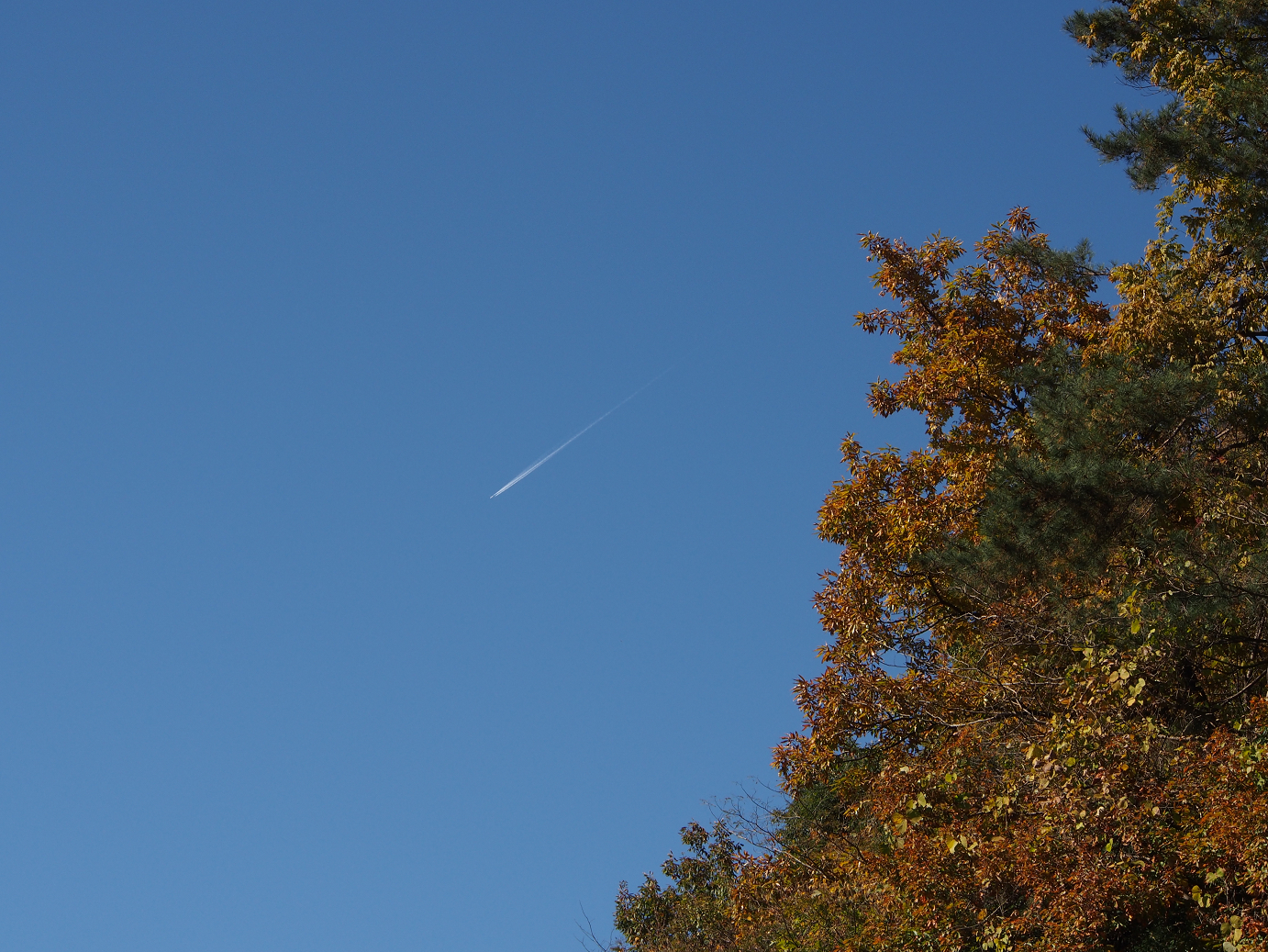 PB160344.jpg