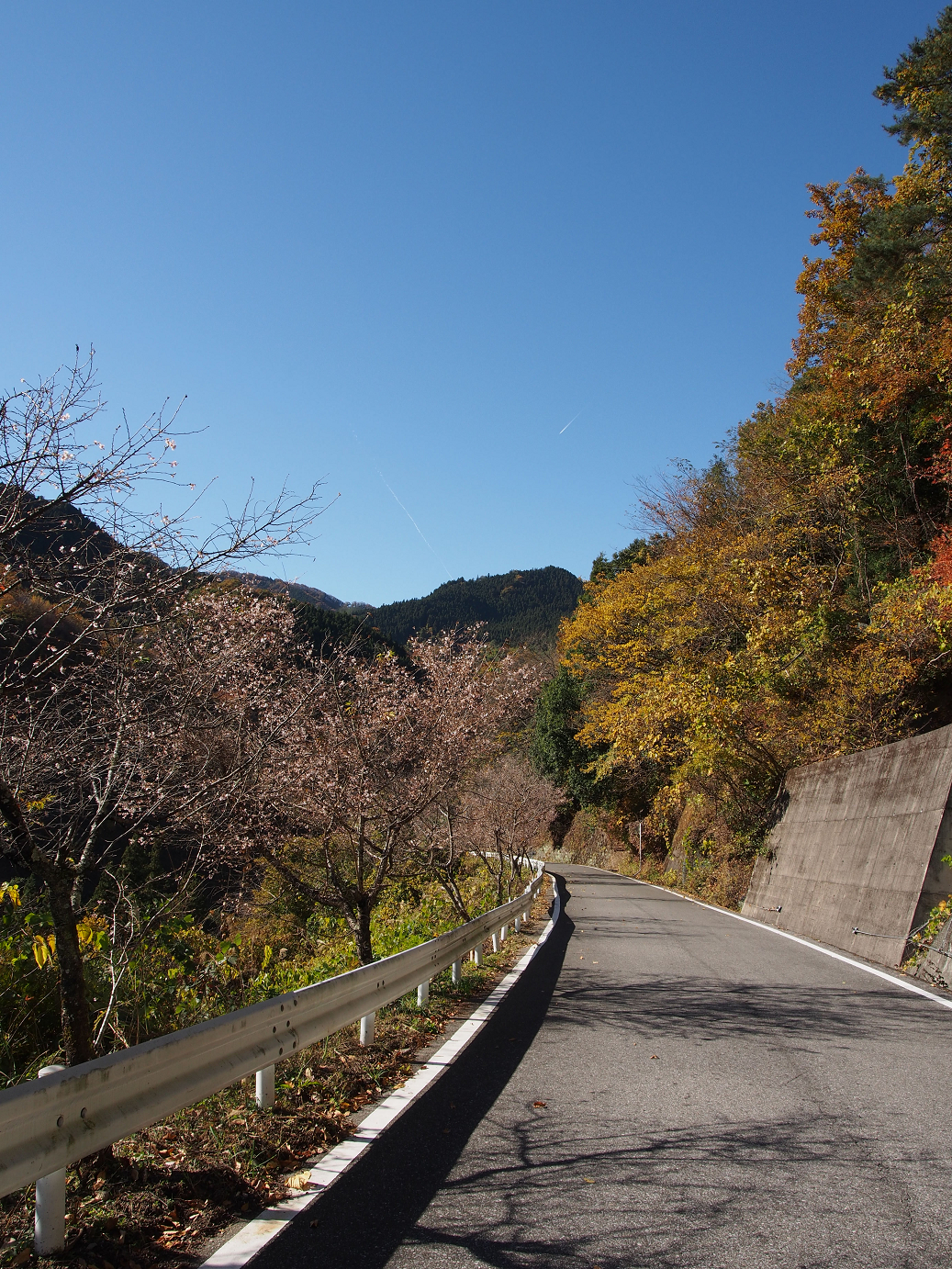 PB160347.jpg