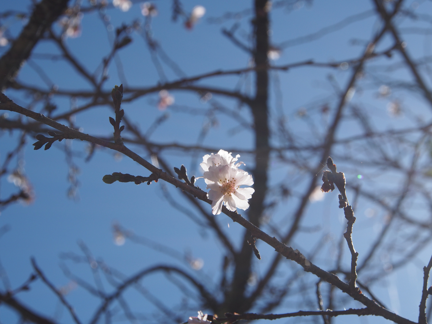 PB160354.jpg