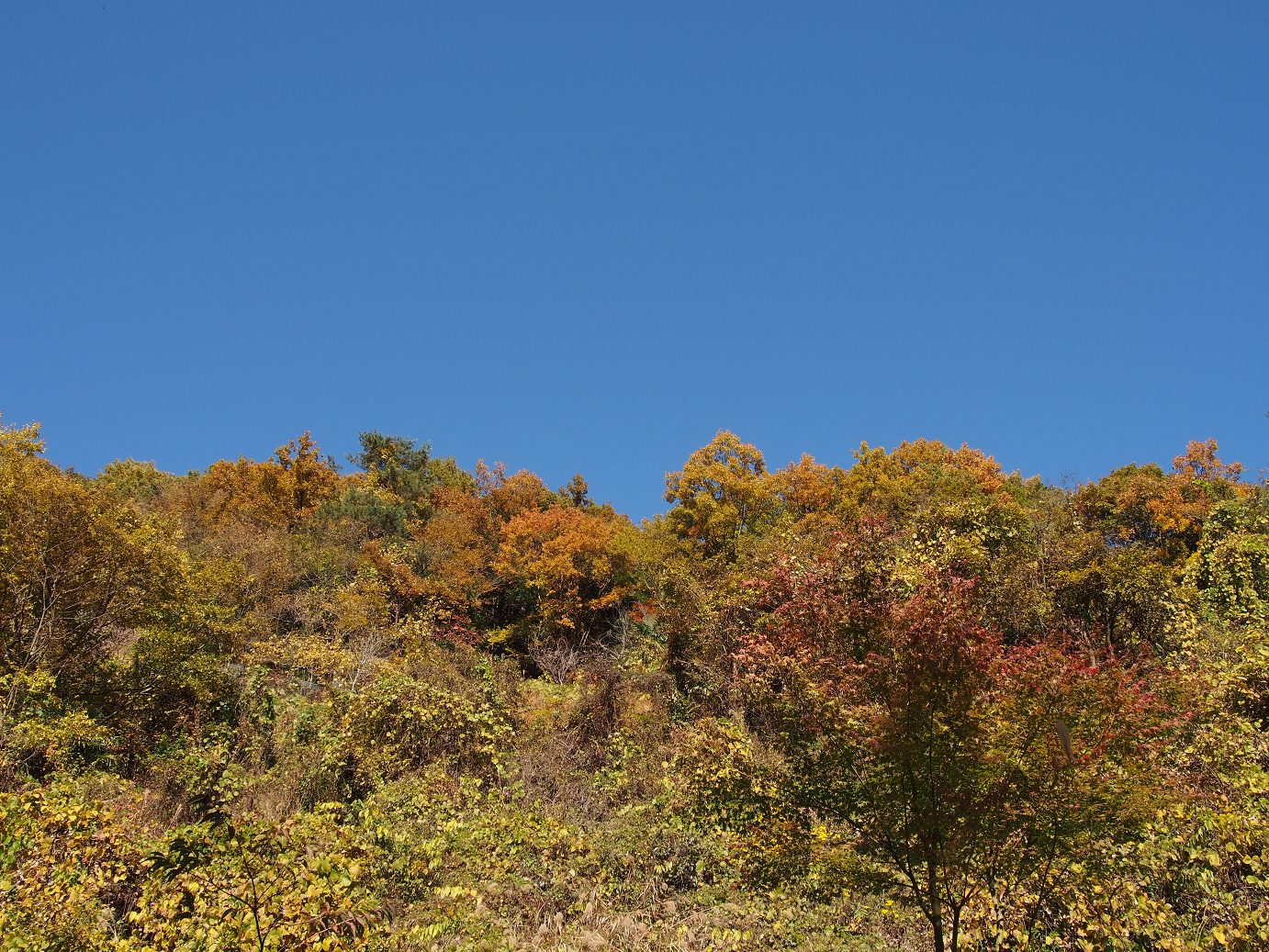 PB160359.jpg