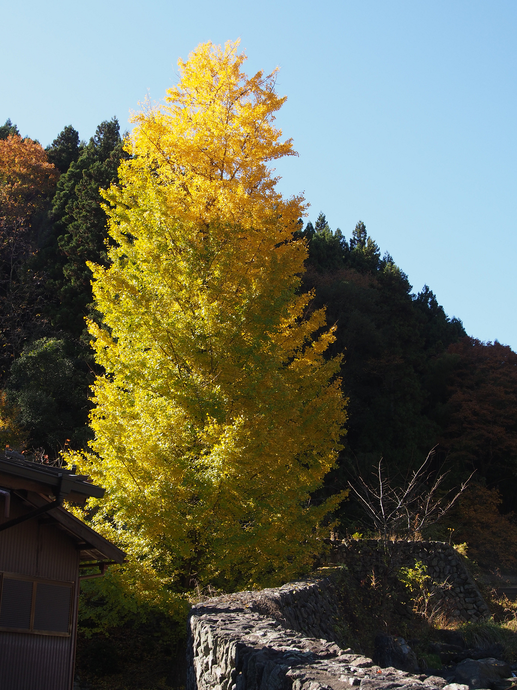 PB160366.jpg