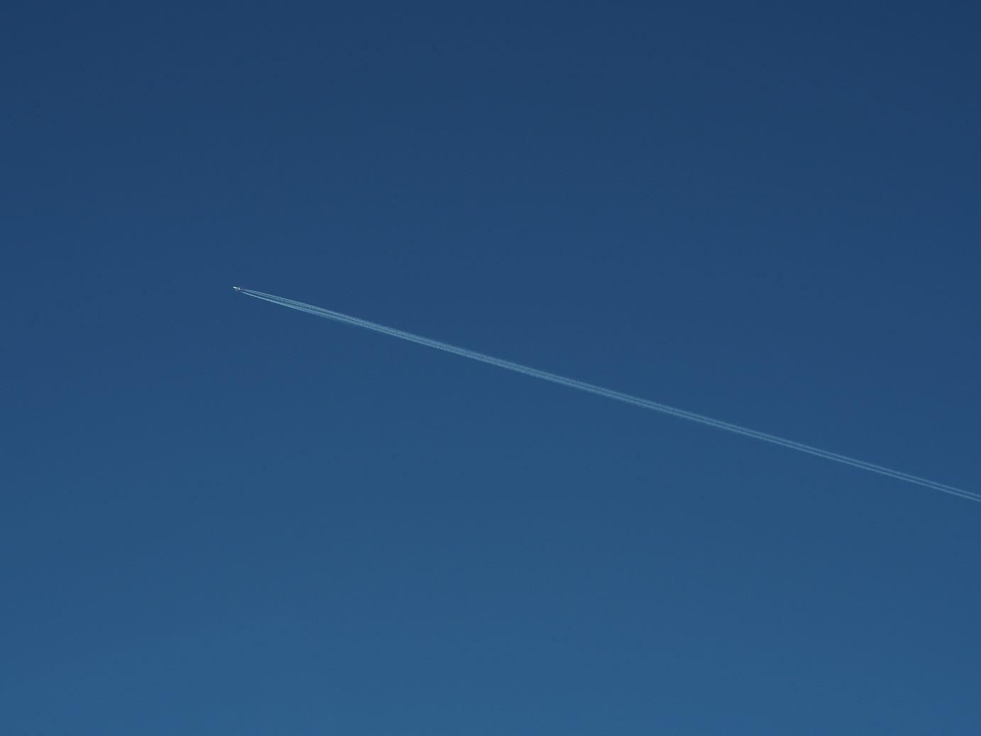 PB160376.jpg