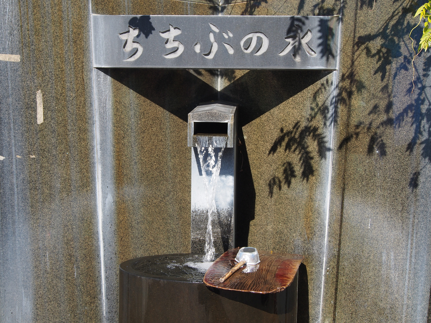 PB160389.jpg