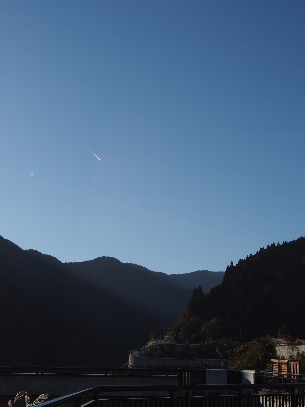 PB160473.jpg