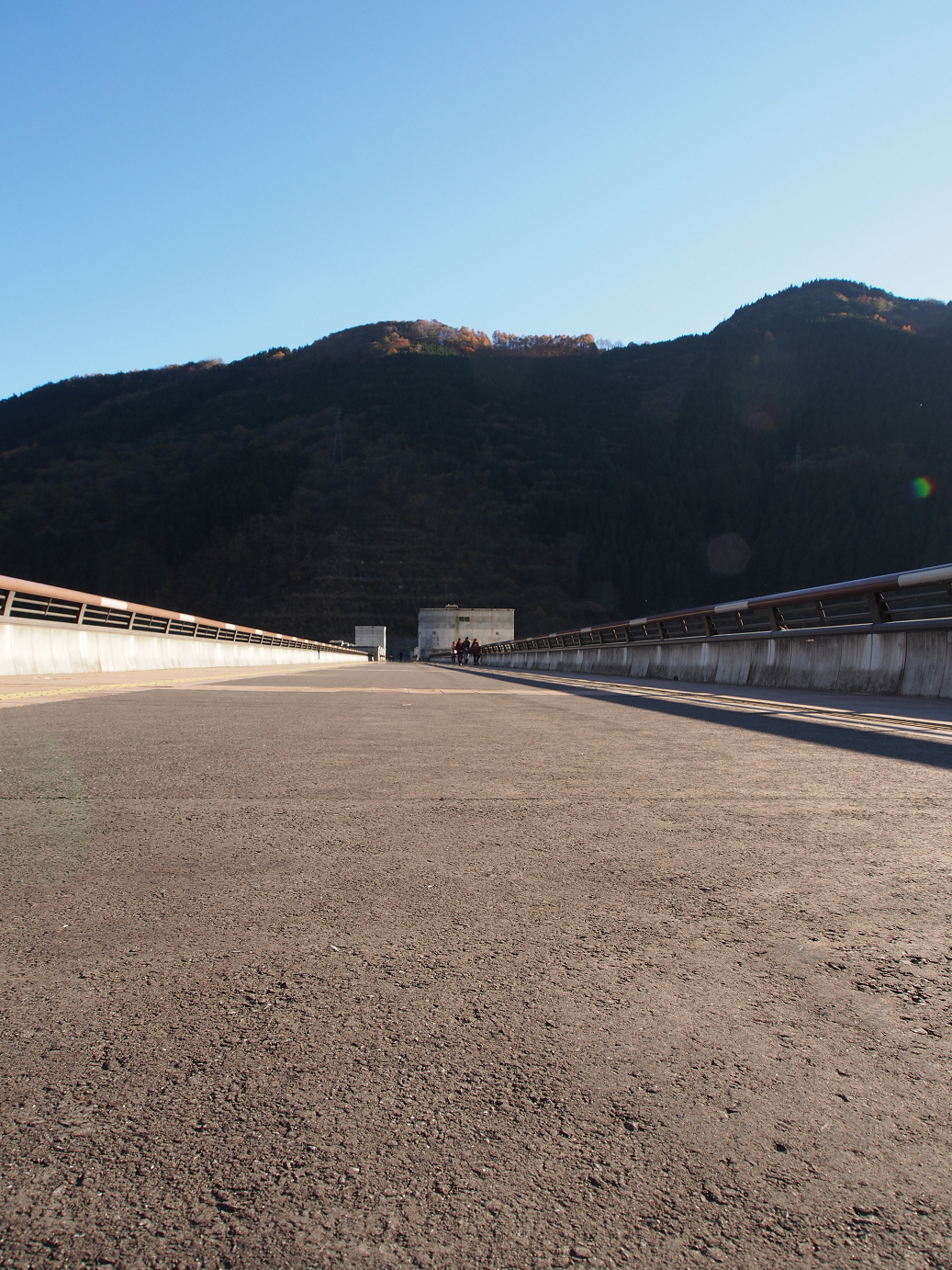 PB160488.jpg