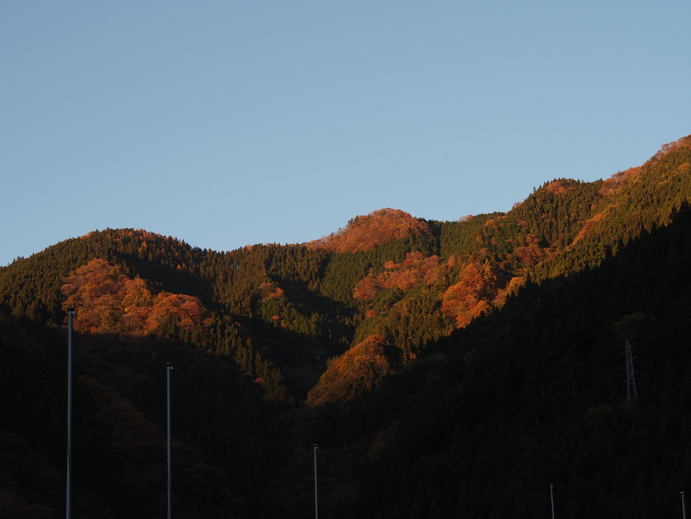 PB160532.jpg