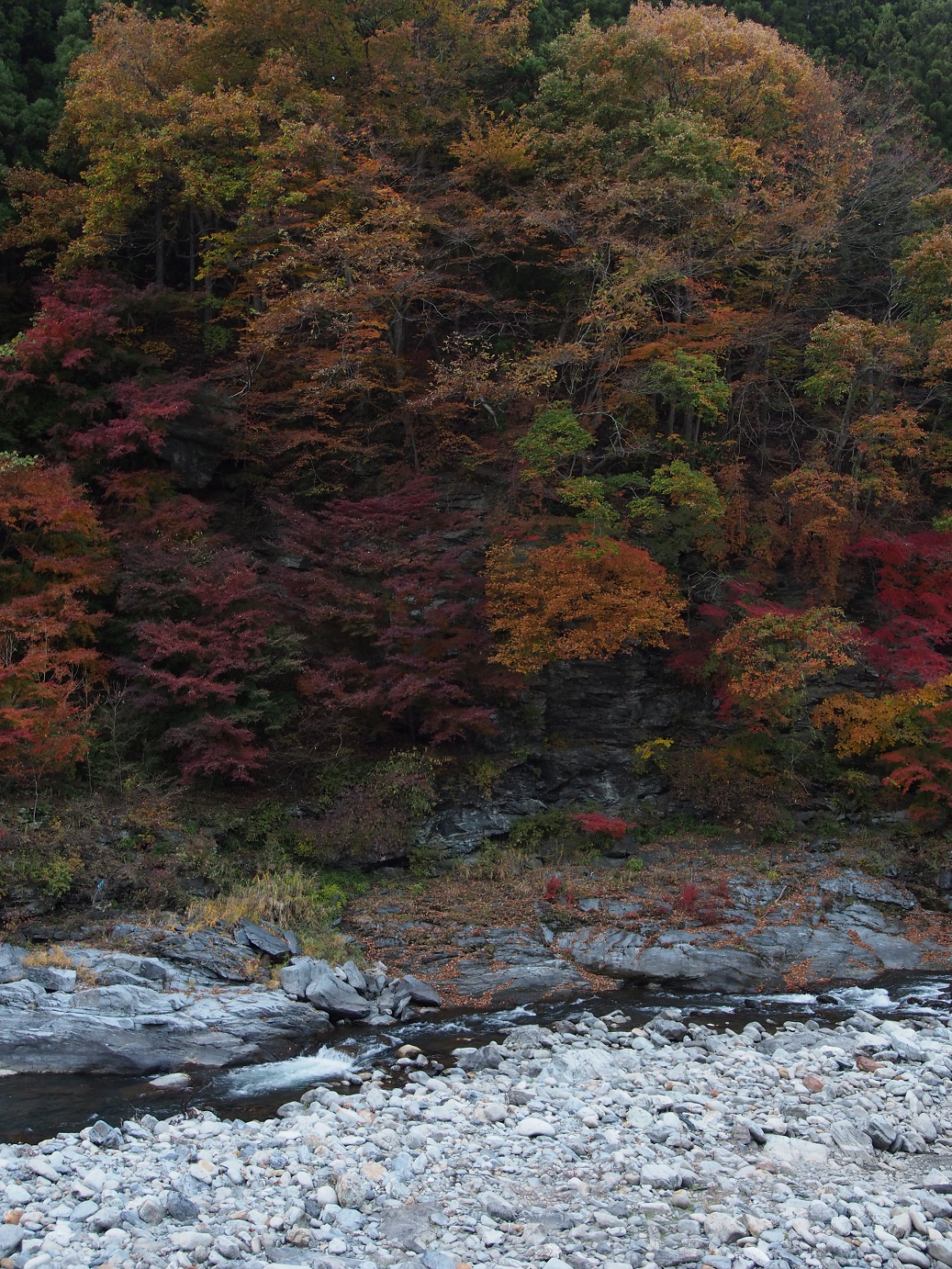PB160537.jpg