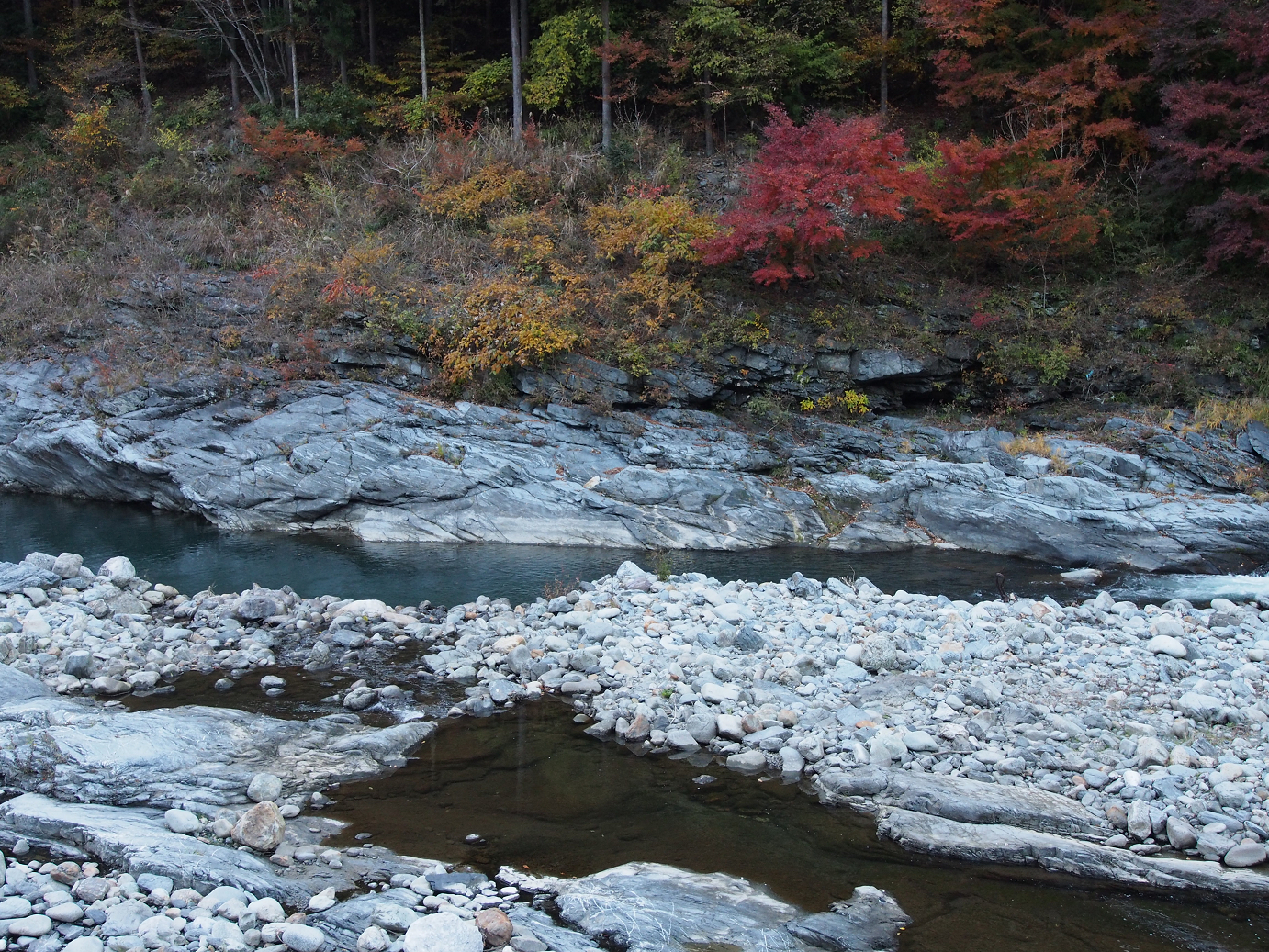 PB160541.jpg