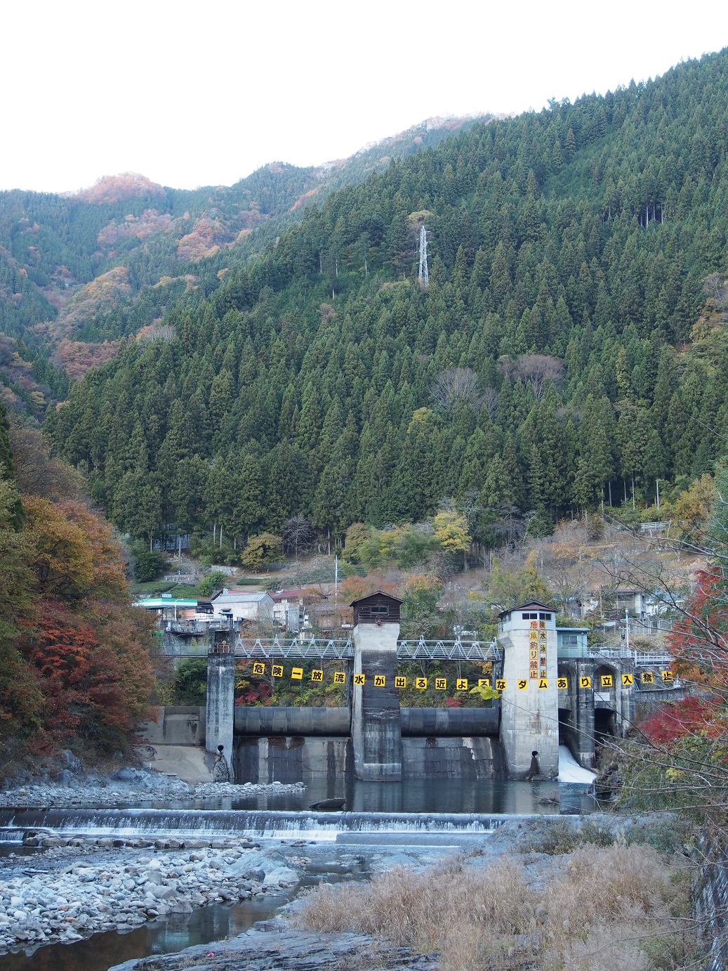 PB160545.jpg