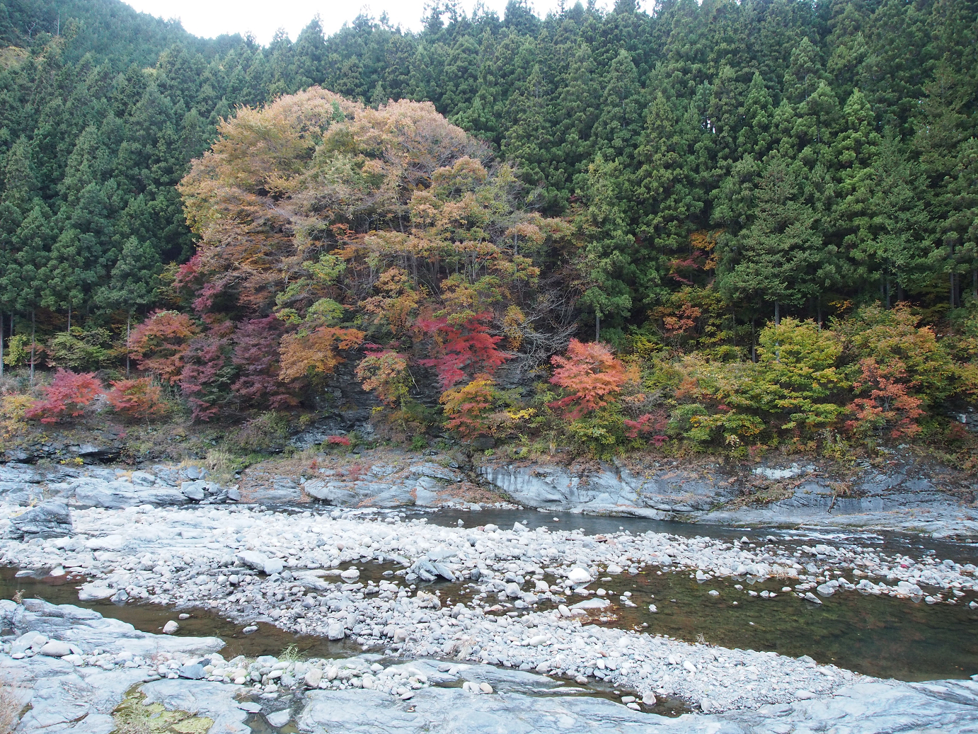 PB160549.jpg