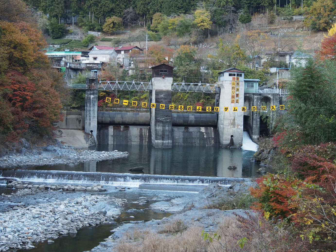 PB160555.jpg