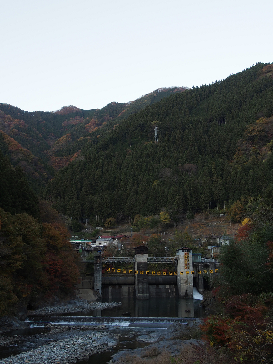 PB160557.jpg