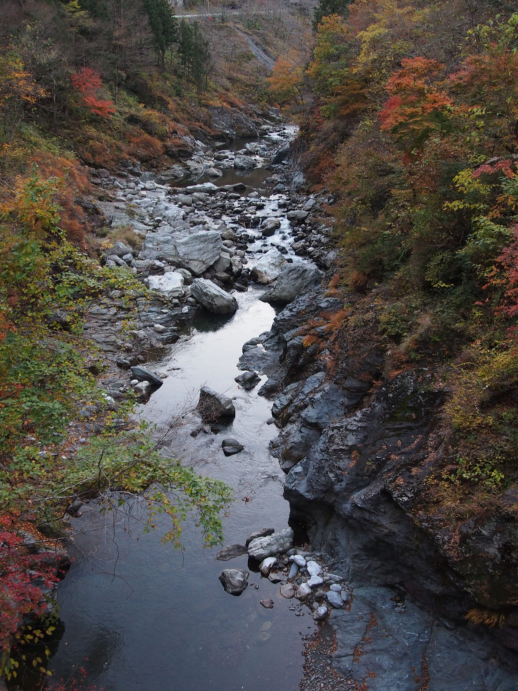 PB160564.jpg
