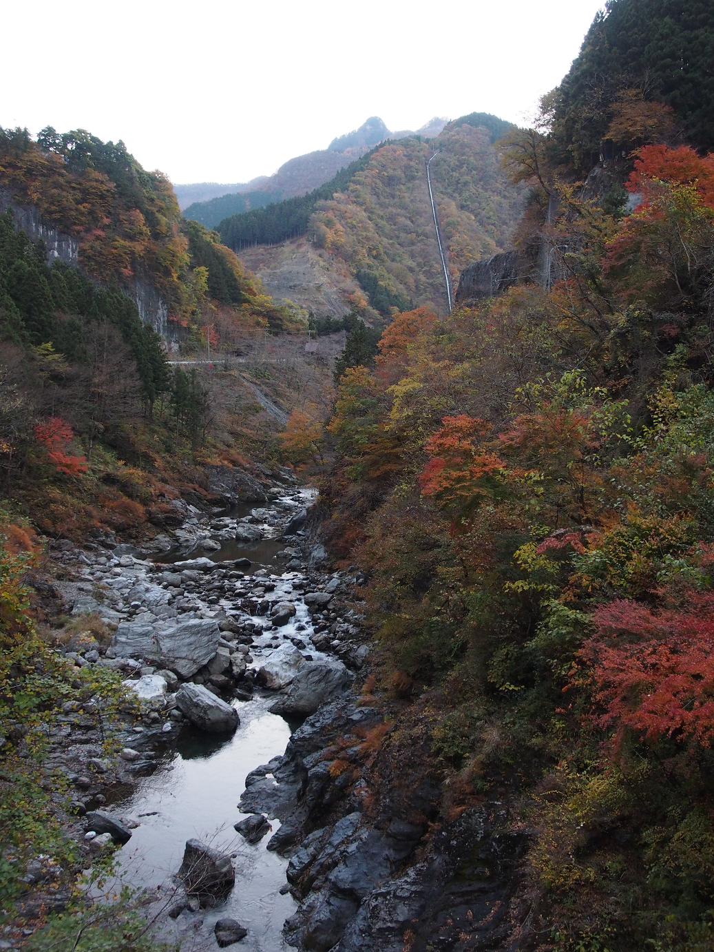 PB160566.jpg