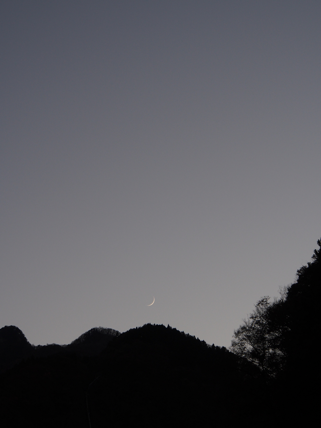 PB160582.jpg