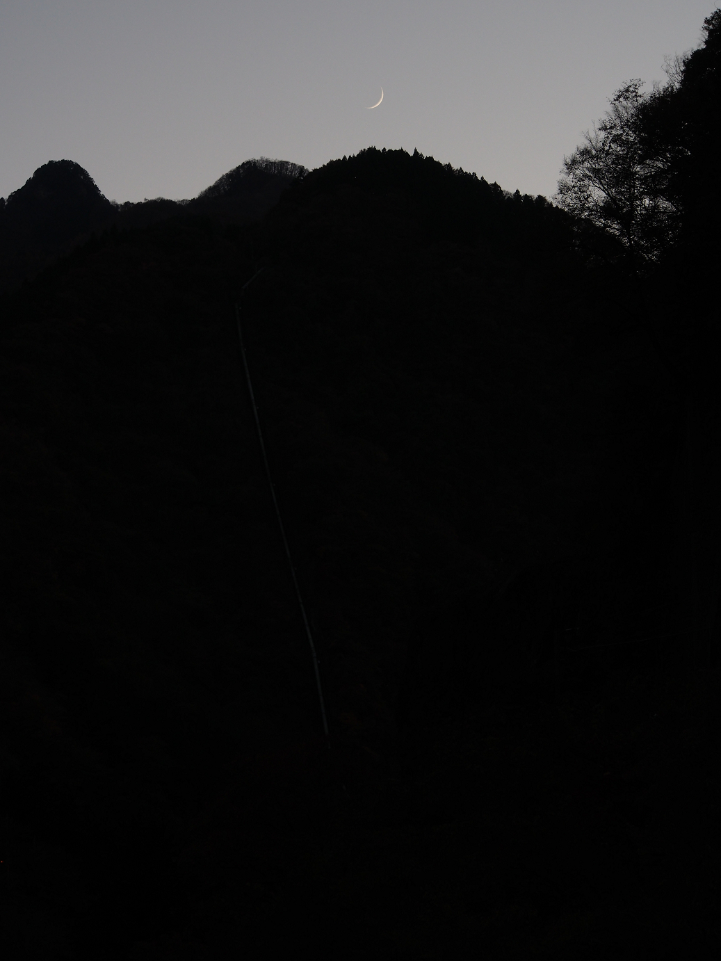 PB160583.jpg