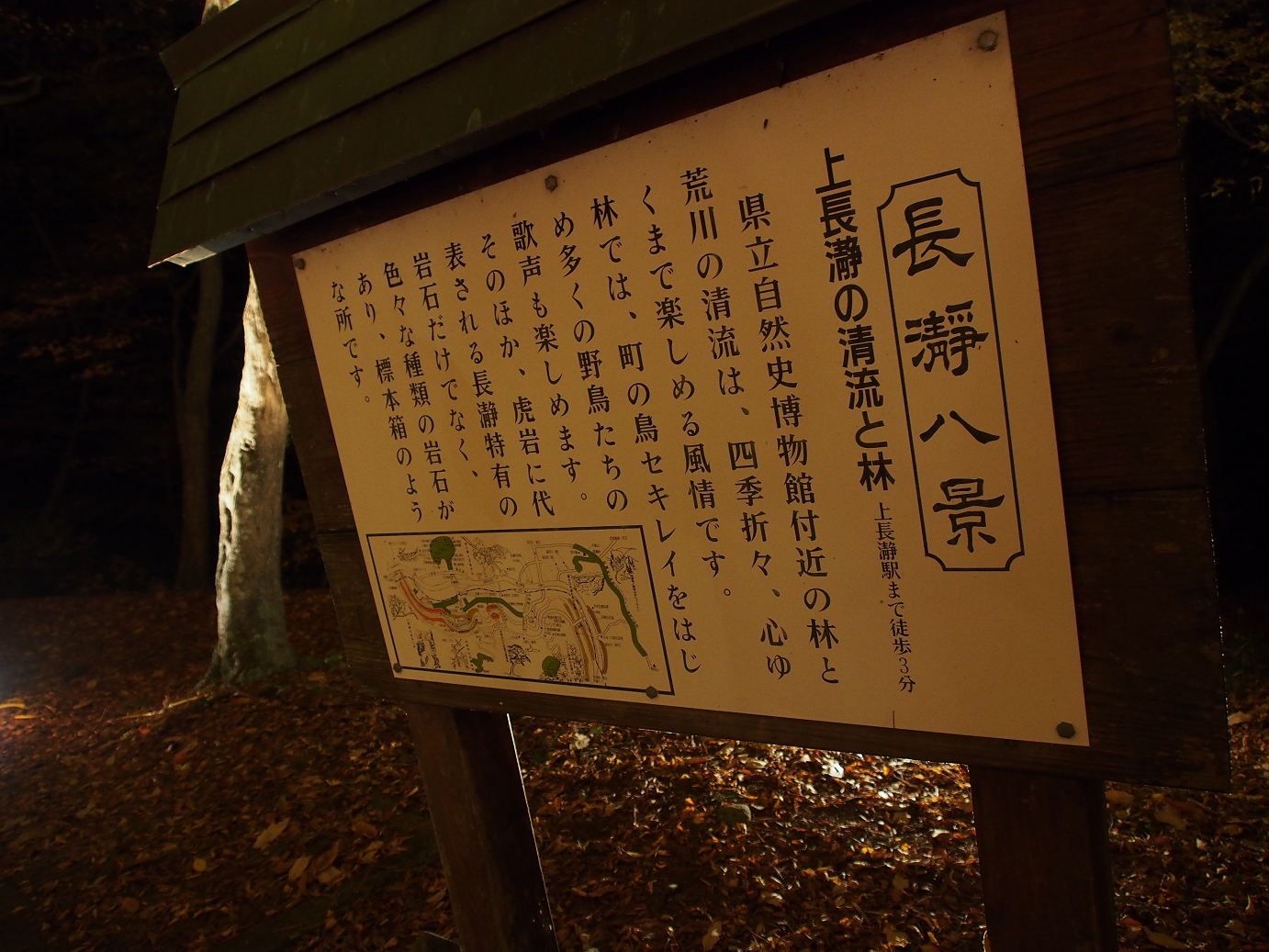 PB160737.jpg