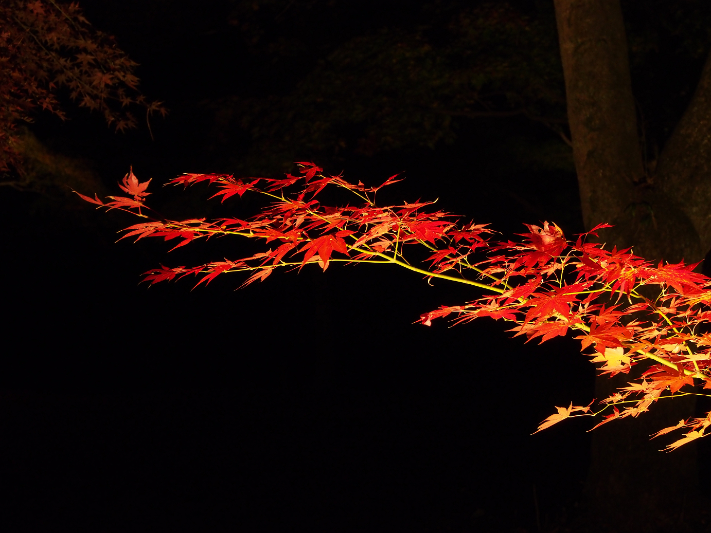 PB160834.jpg
