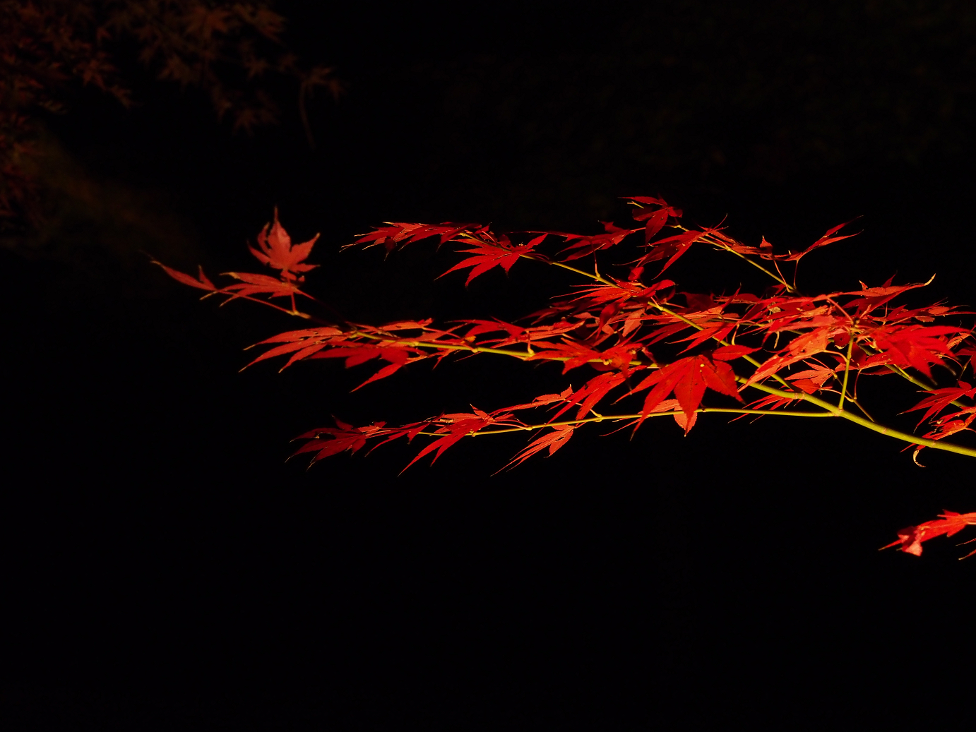 PB160838.jpg