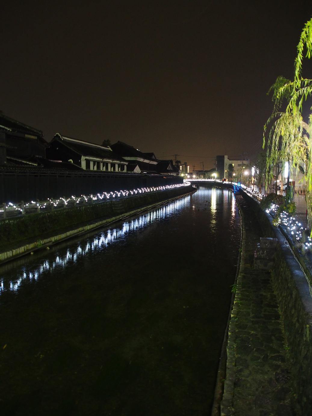 PB171039.jpg