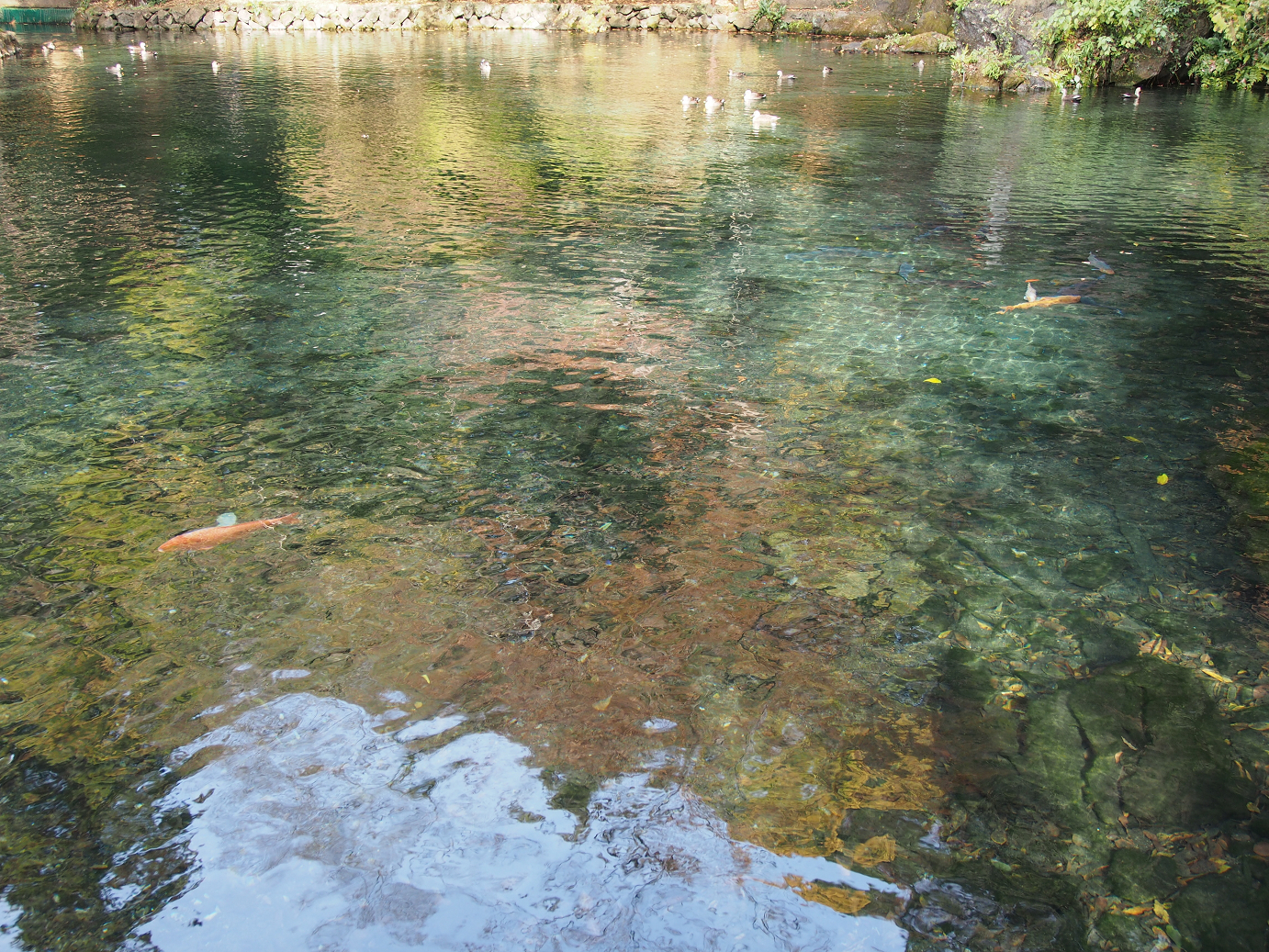 PB240014.jpg