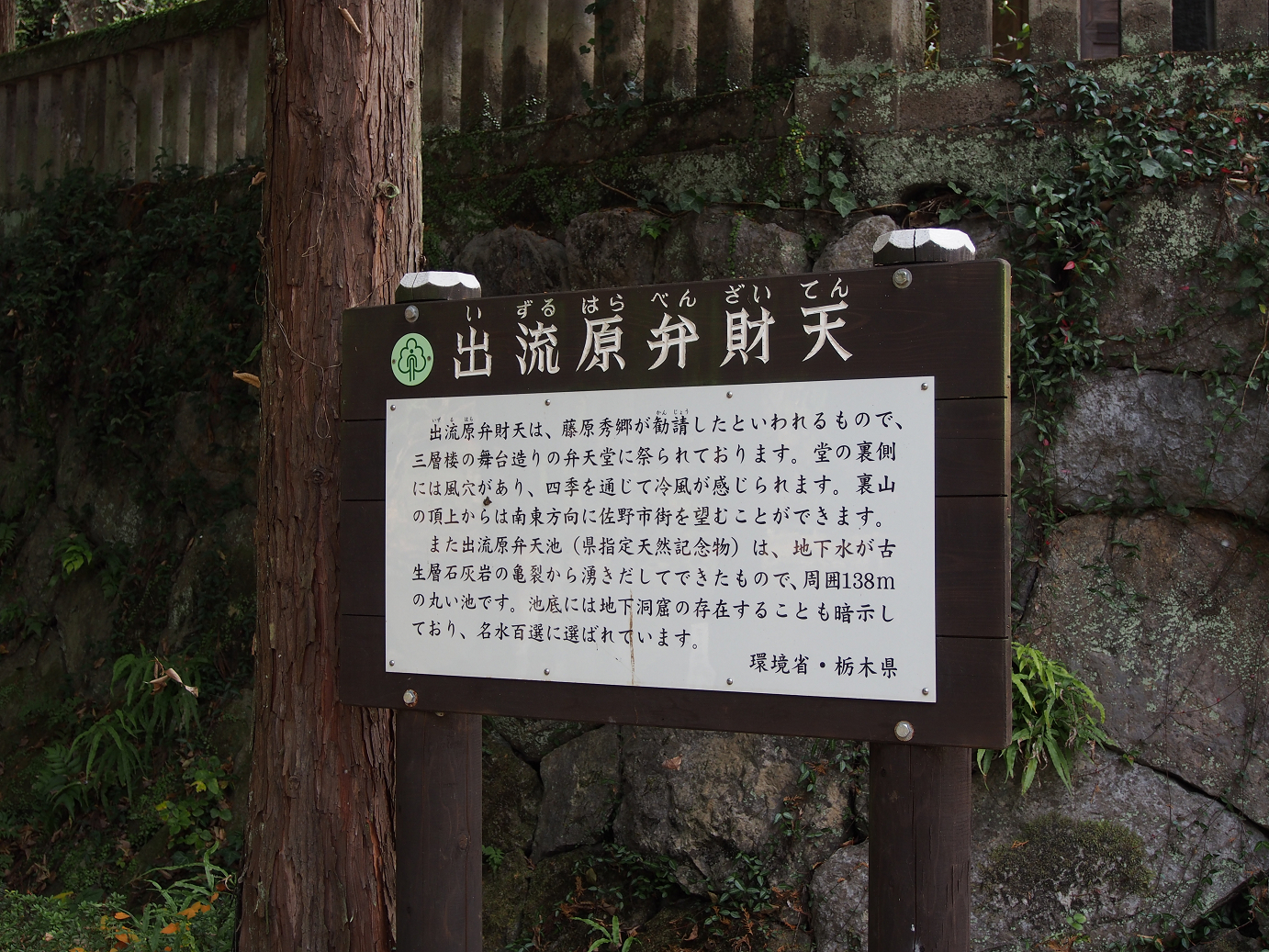 PB240028.jpg