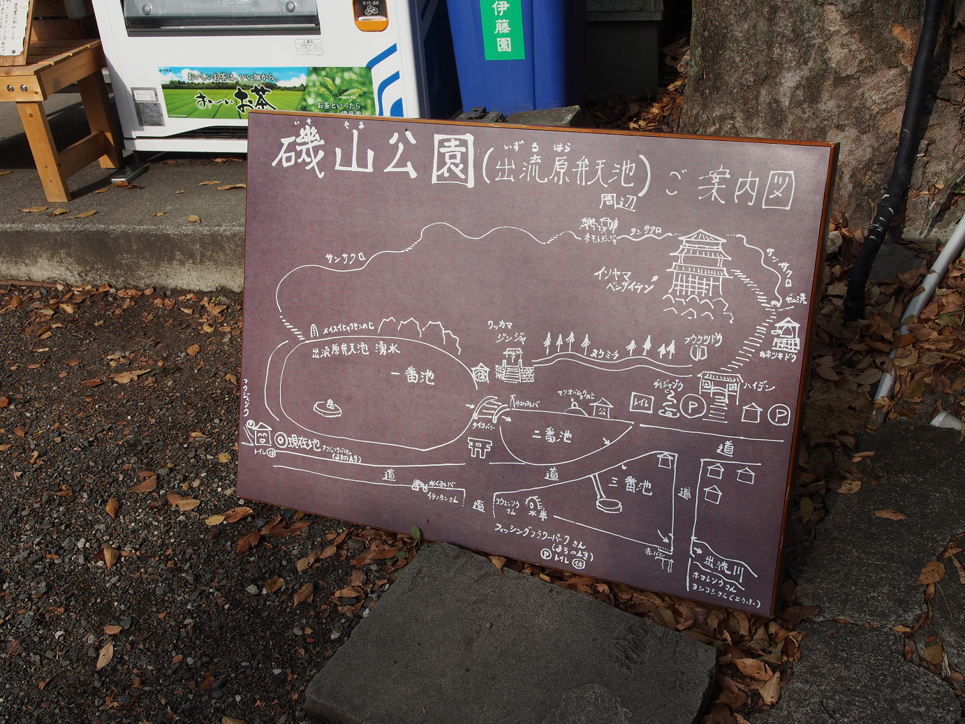 PB240061.jpg