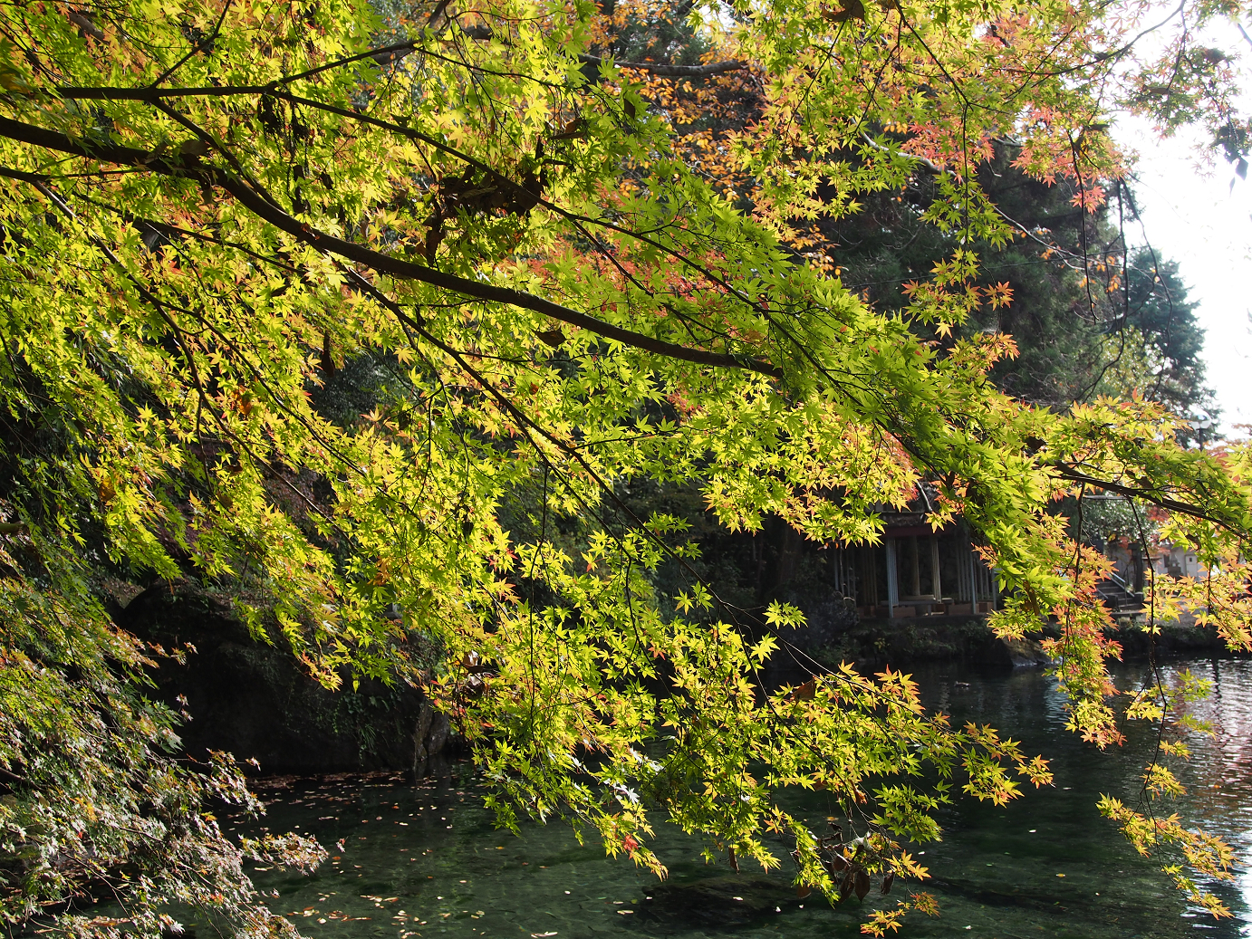 PB240082.jpg