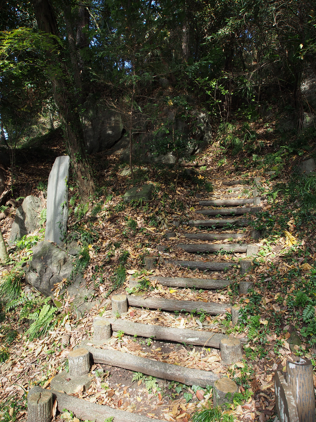 PB240091.jpg
