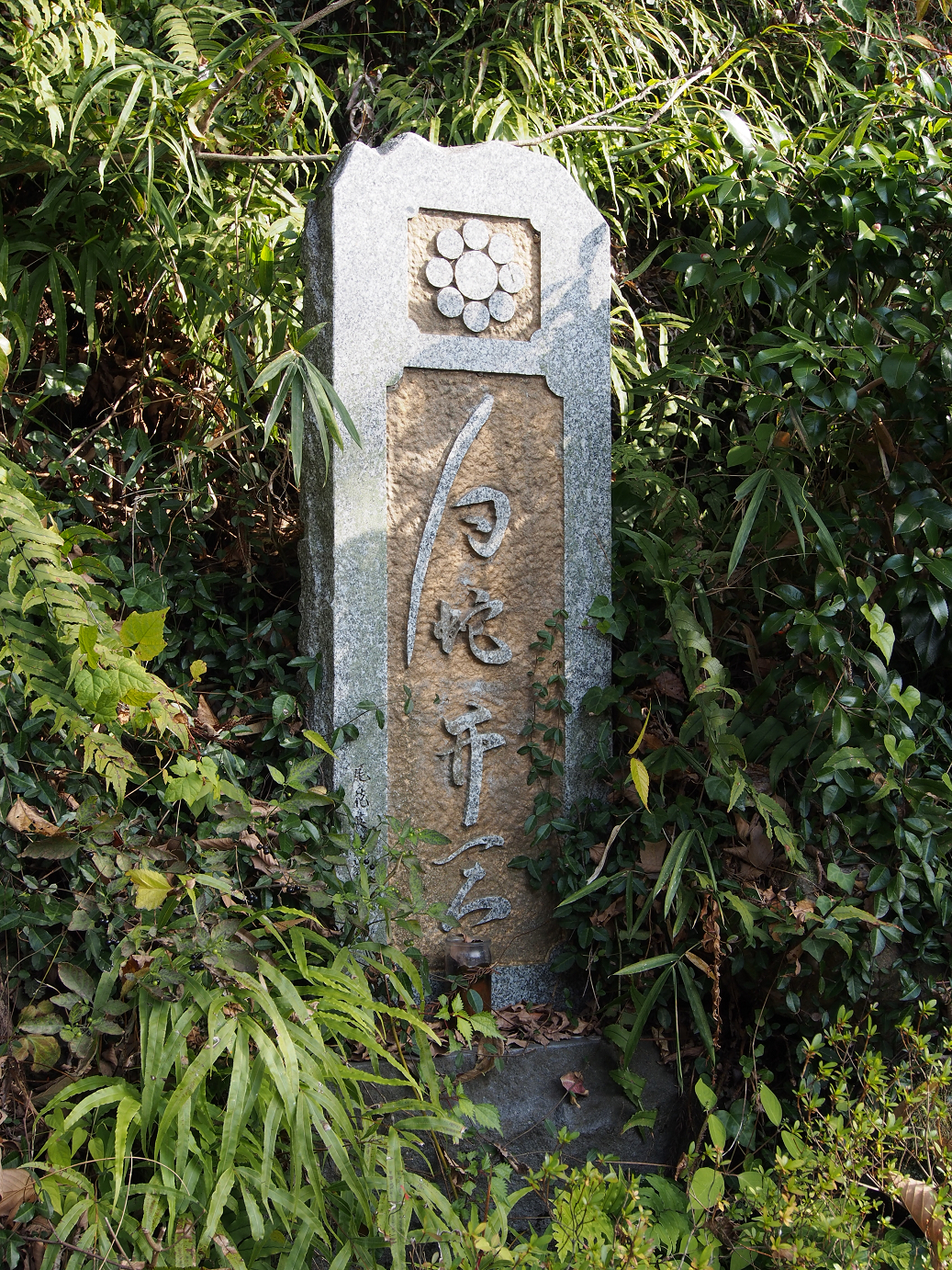 PB240121.jpg