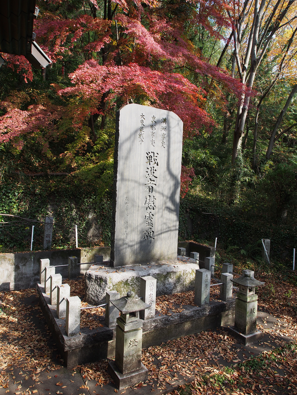 PB240142.jpg