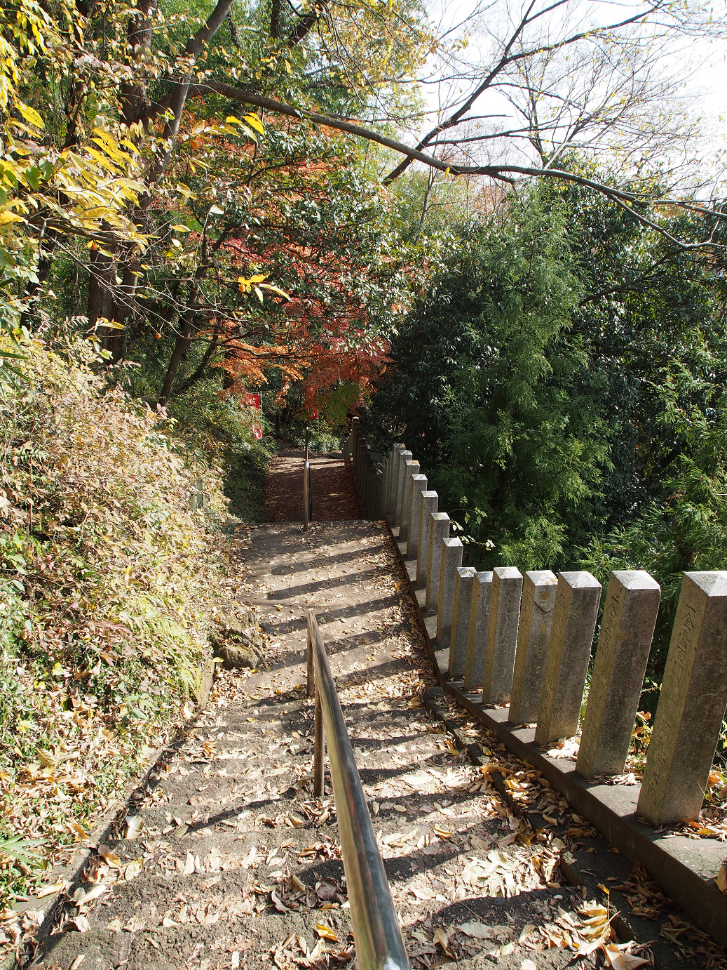 PB240202.jpg