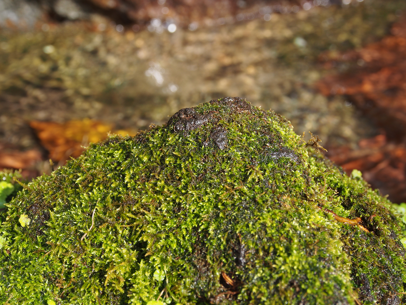PB240215.jpg