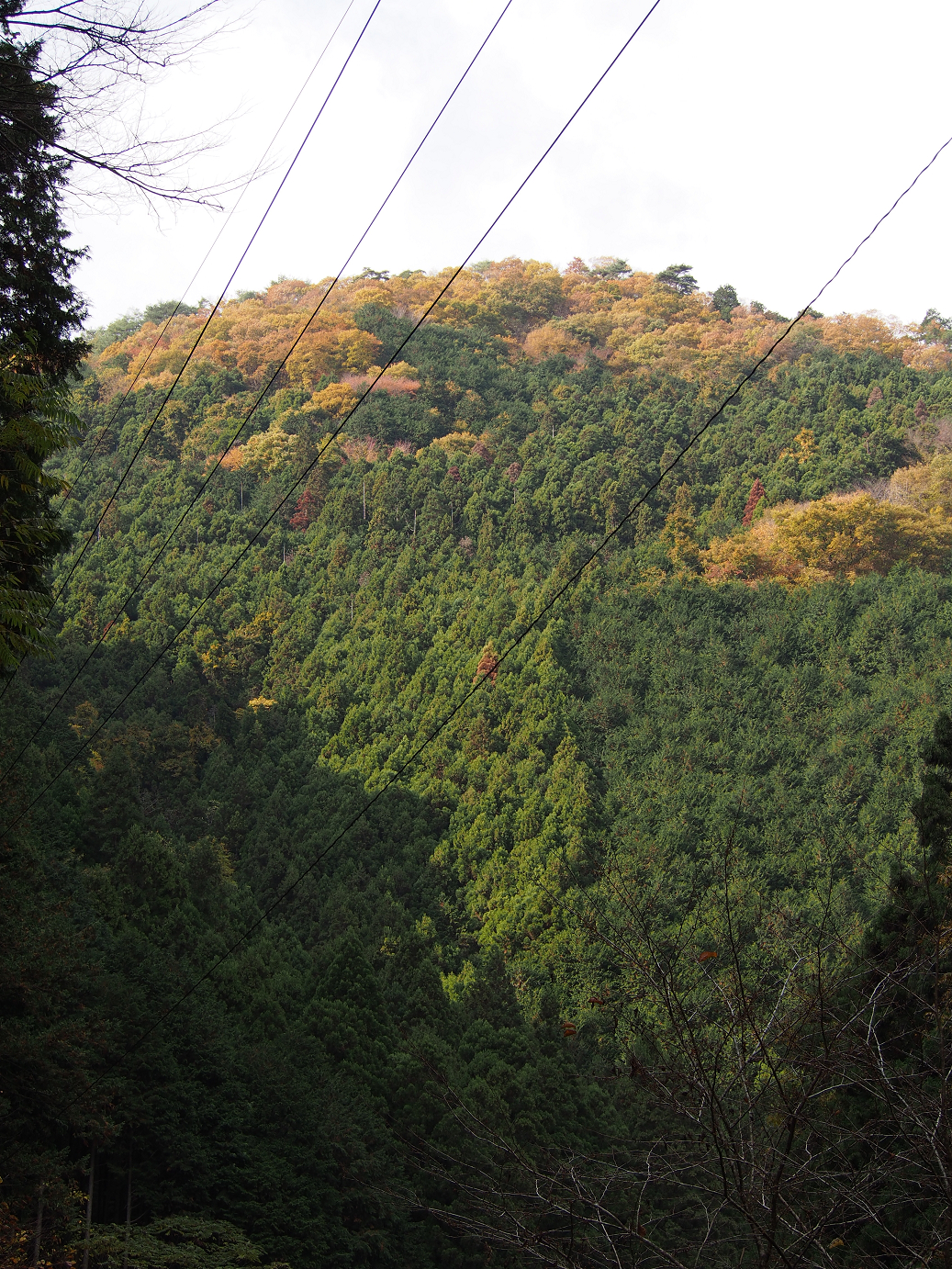 PB240244.jpg
