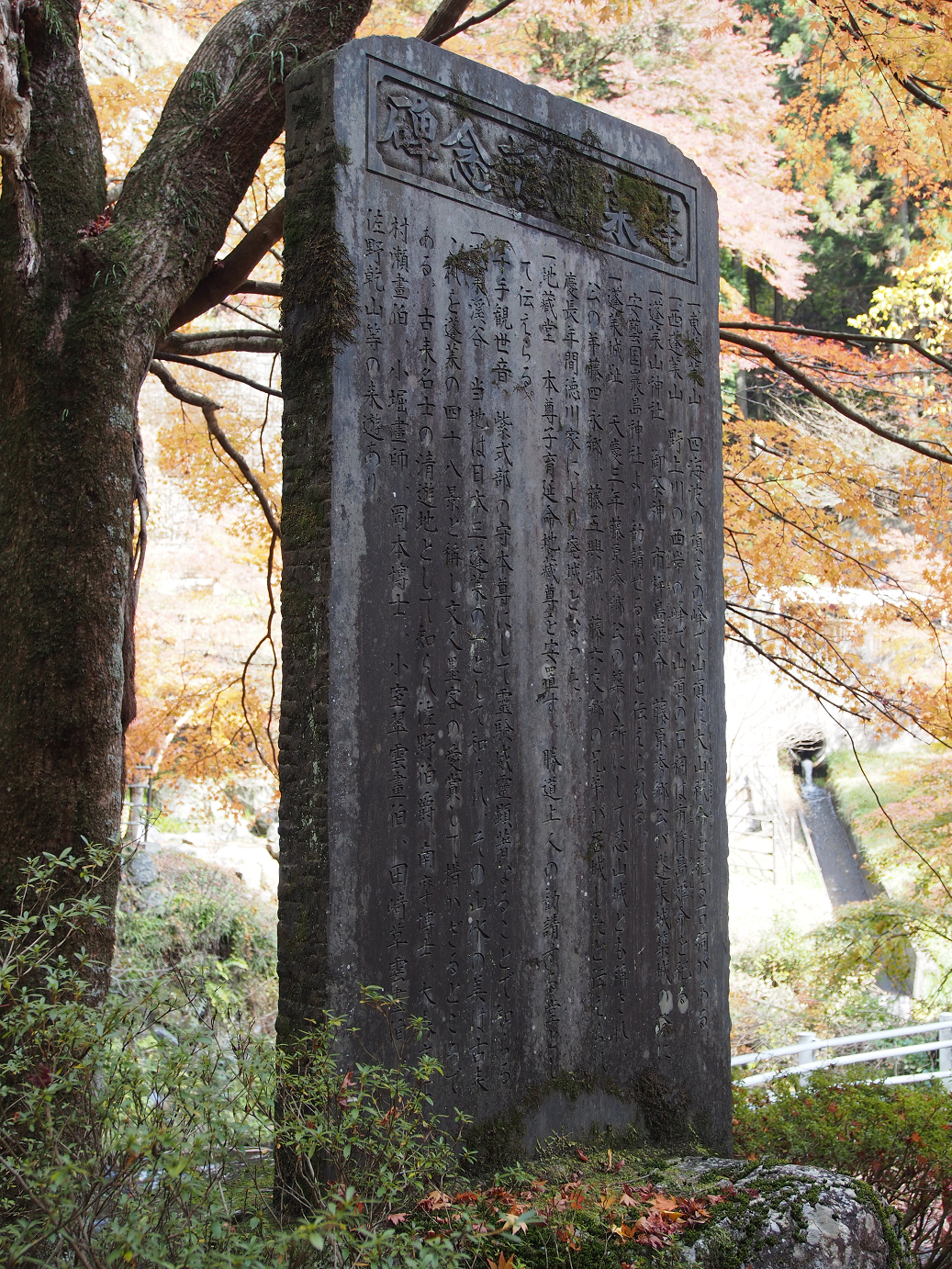 PB240246.jpg