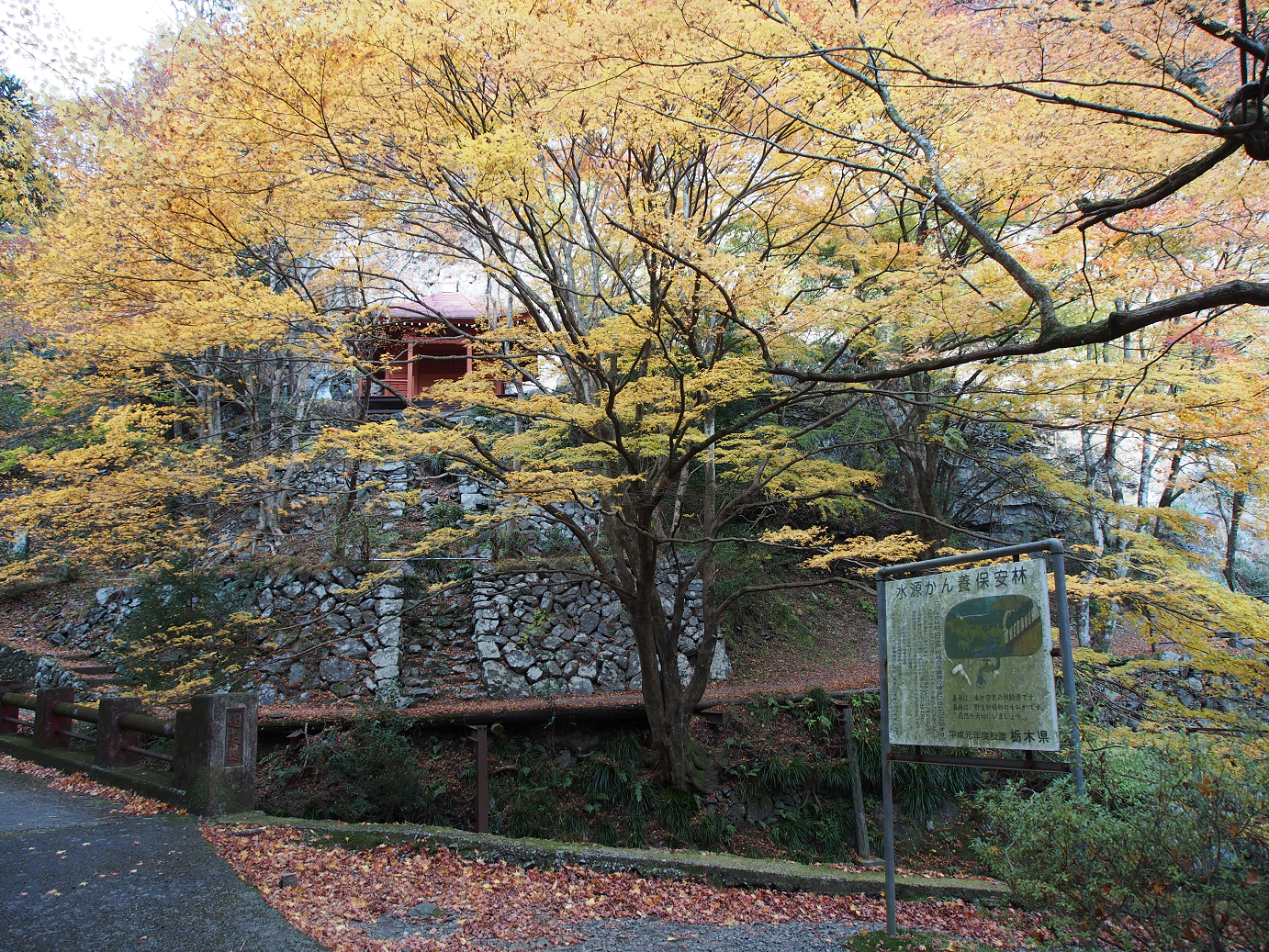 PB240282.jpg