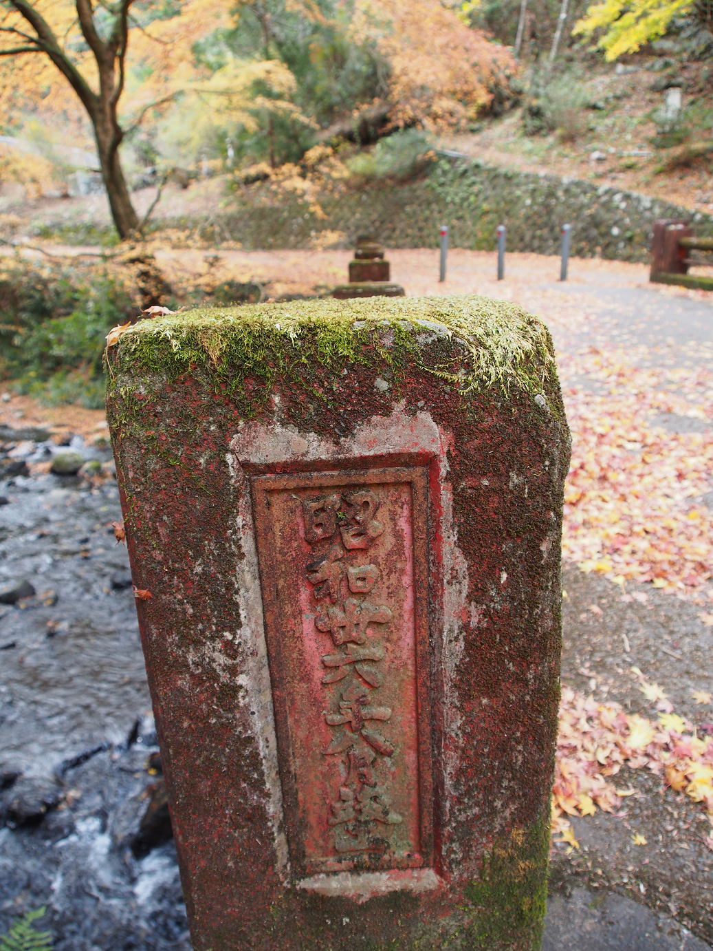 PB240284.jpg
