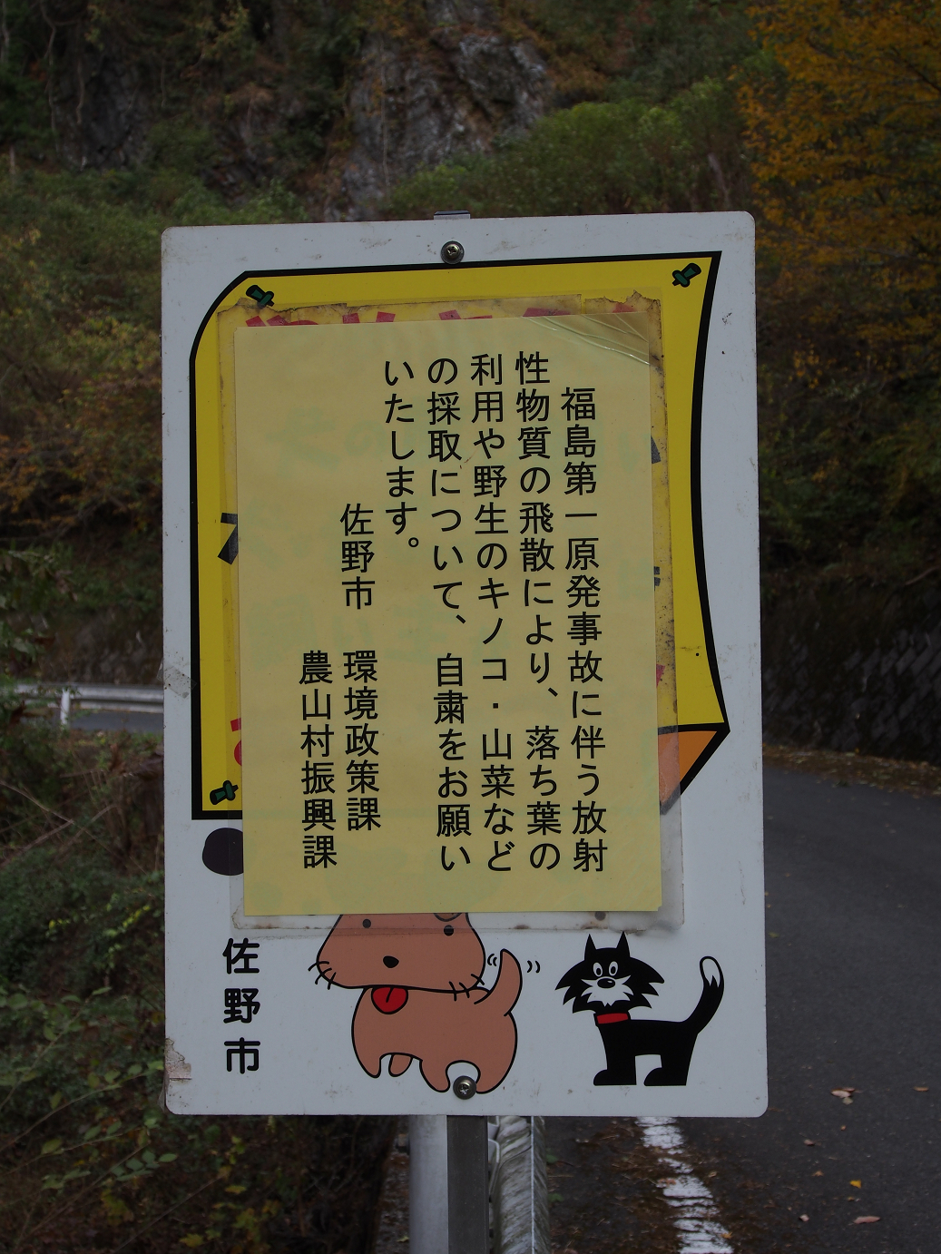 PB240368.jpg