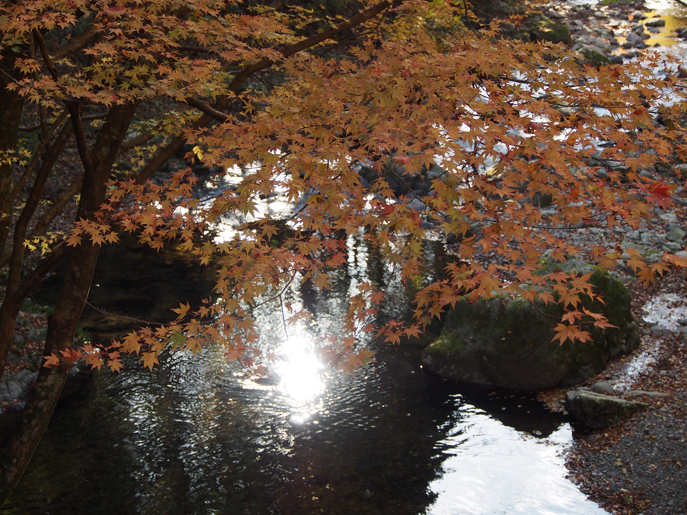 PB240403.jpg