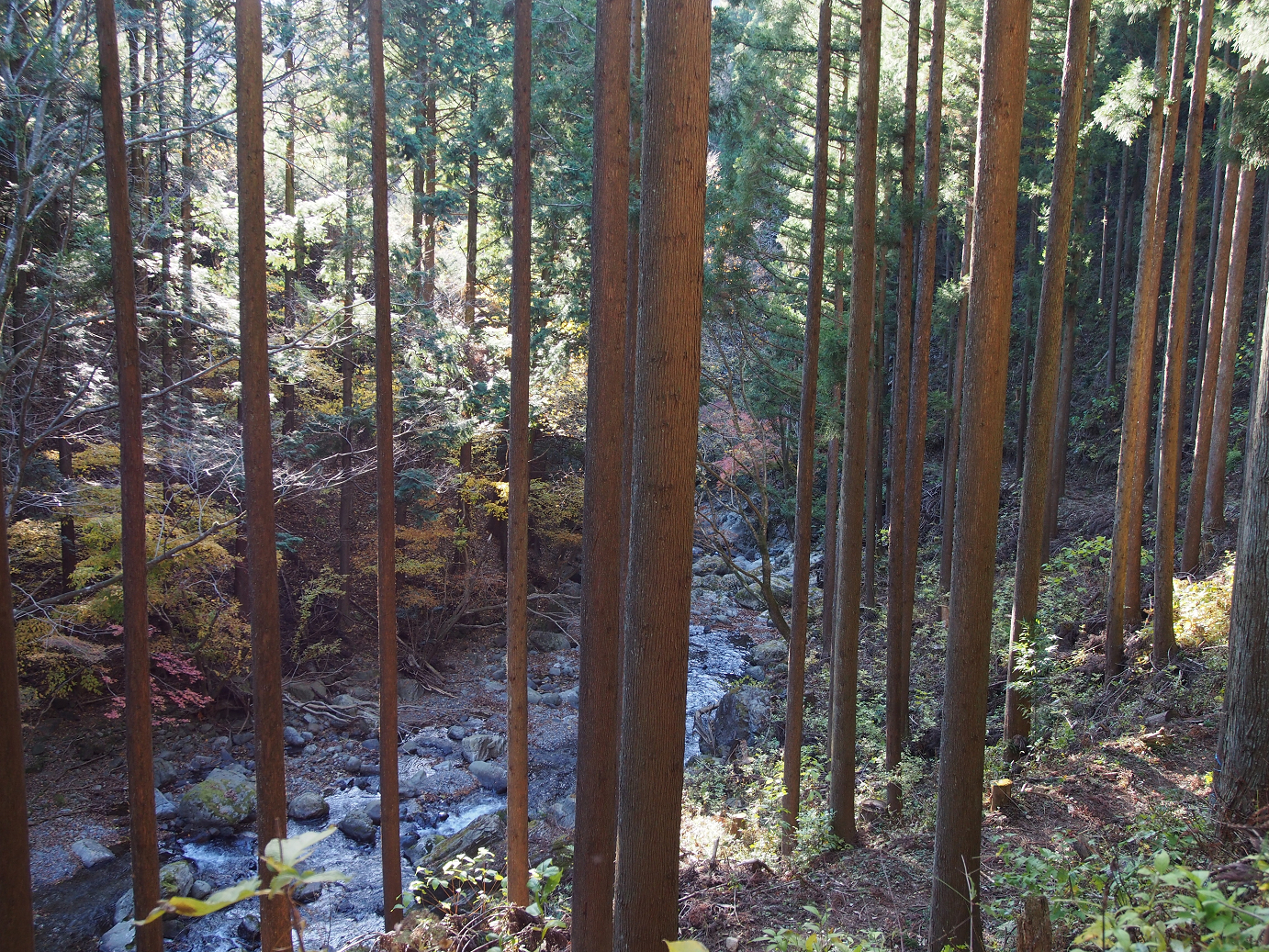 PB240494.jpg