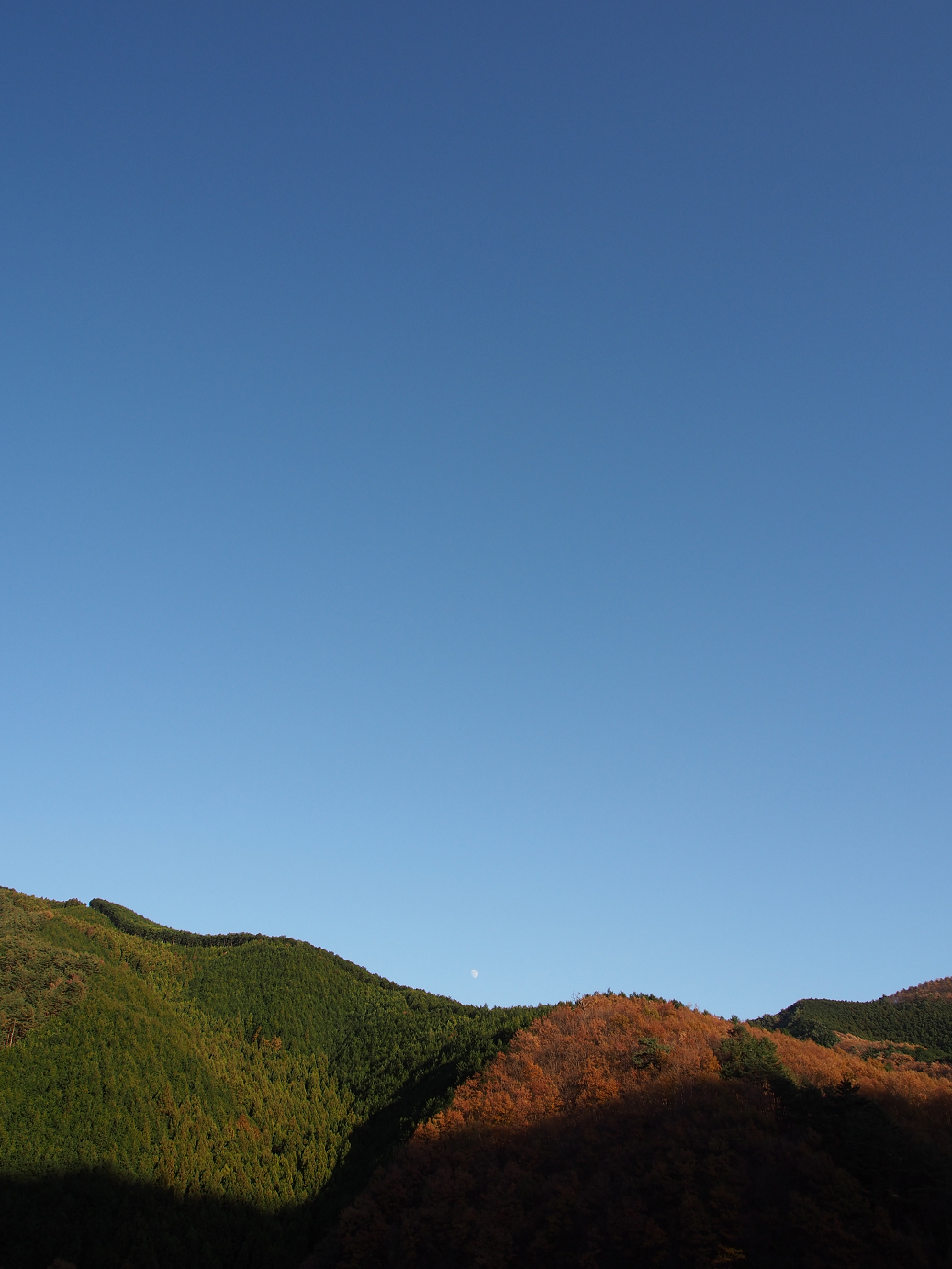 PB240567.jpg