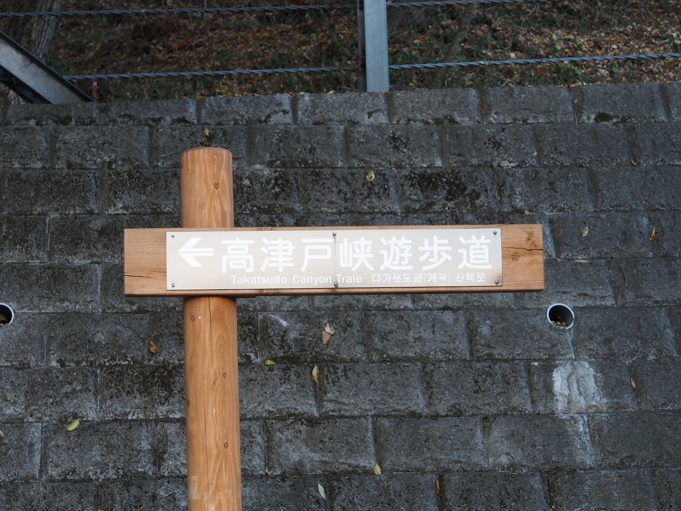 PB240577.jpg