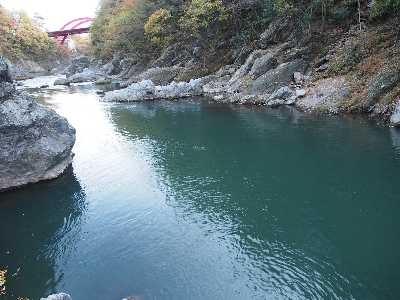 PB240636.jpg