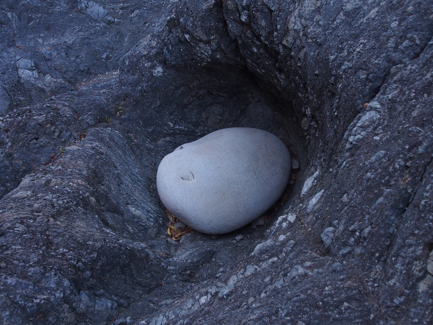 PB240677.jpg