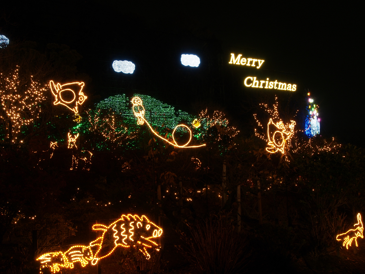 PC020123.jpg