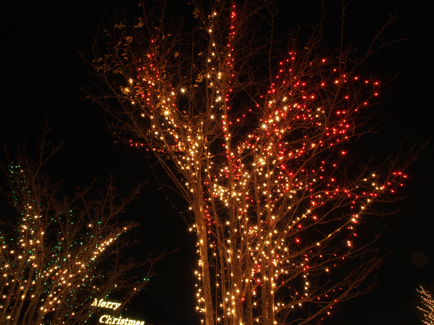 PC020133.jpg