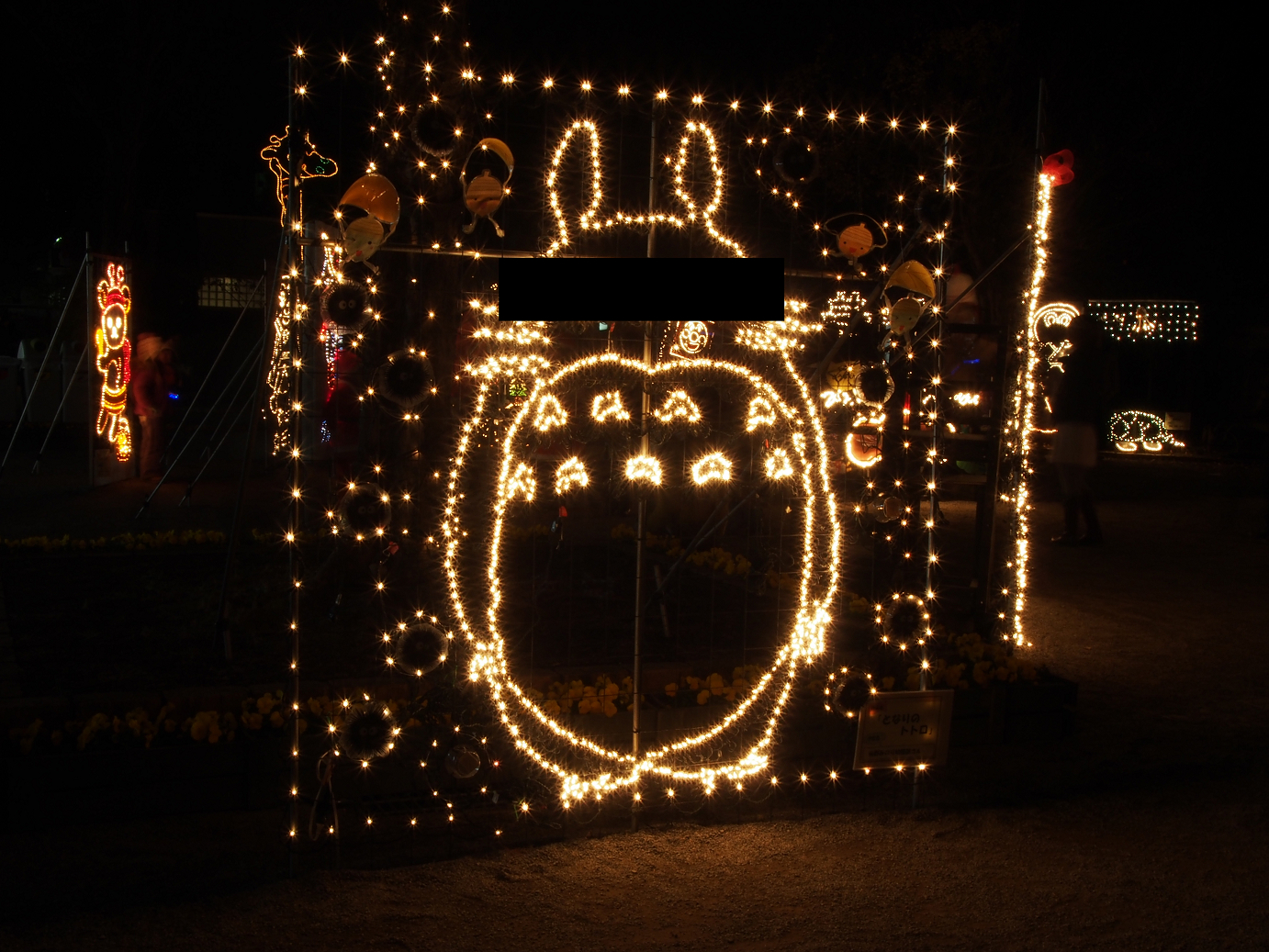 PC020140.jpg