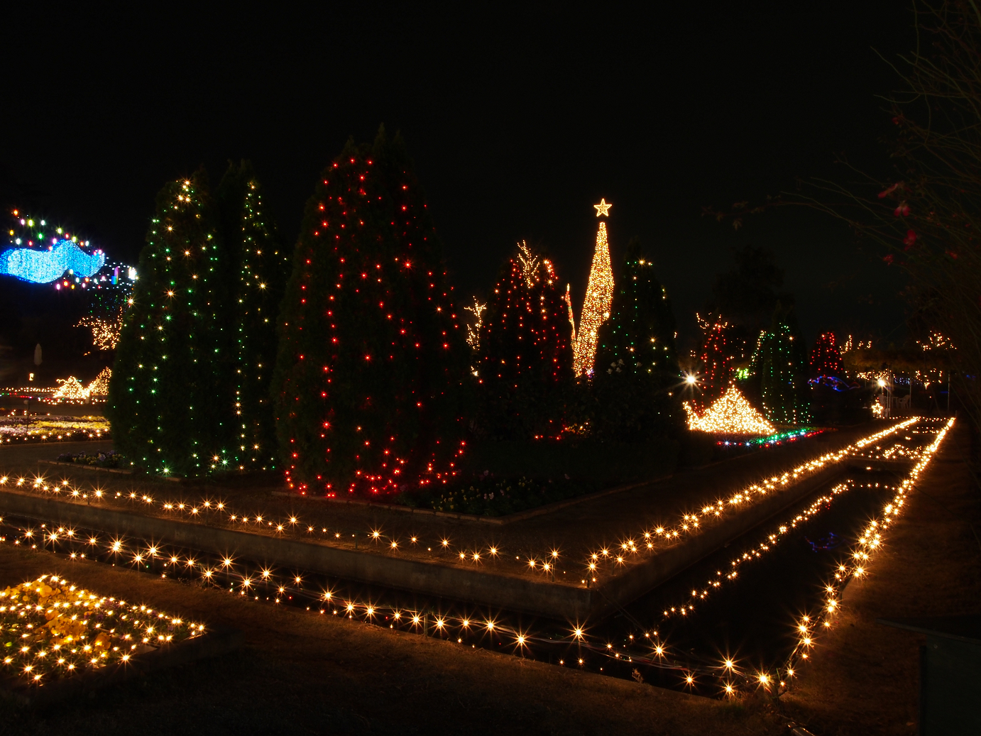 PC020142.jpg