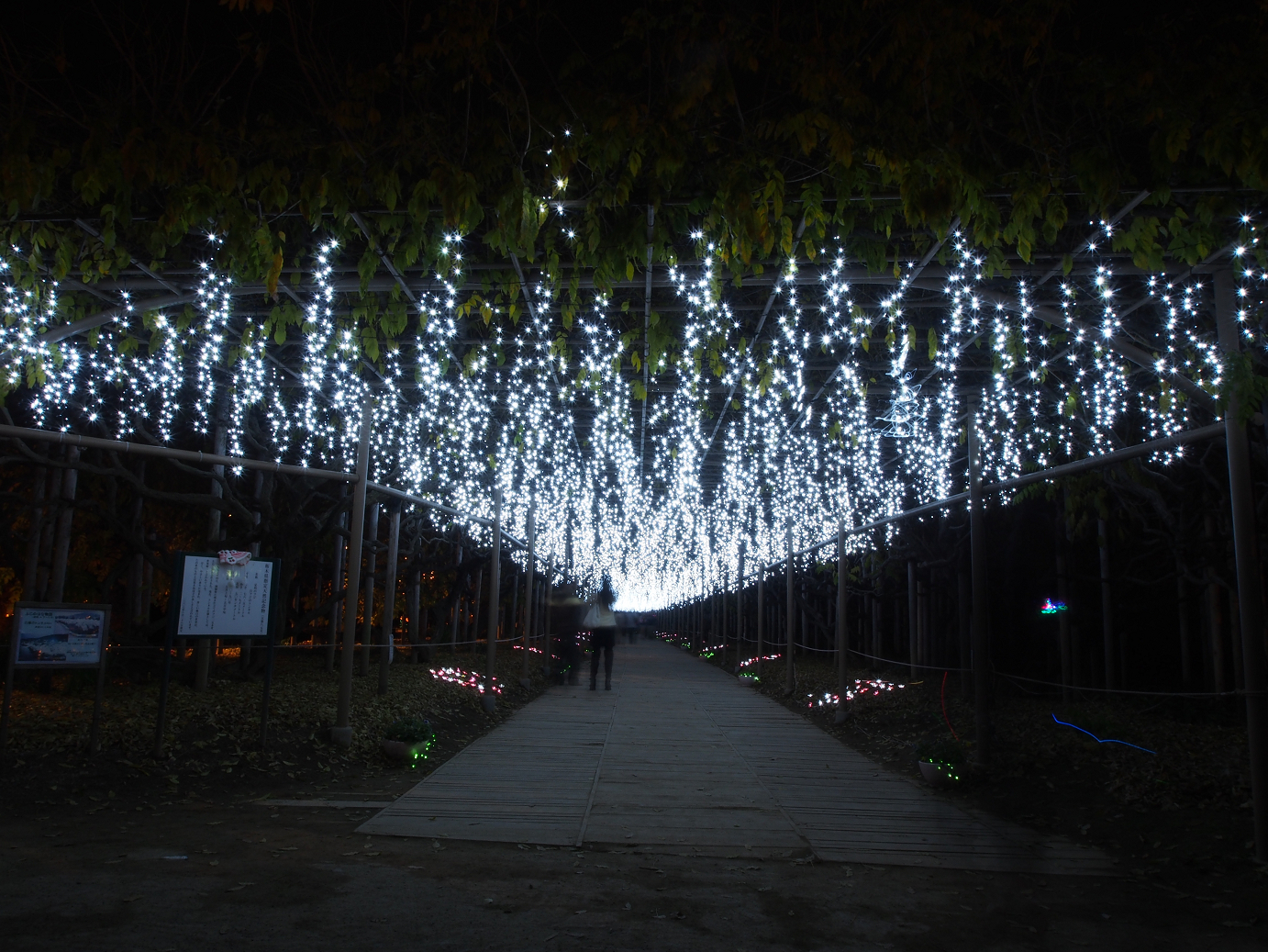 PC020152.jpg